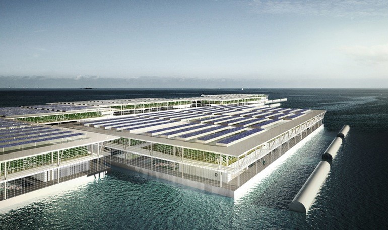 floating-farms-1